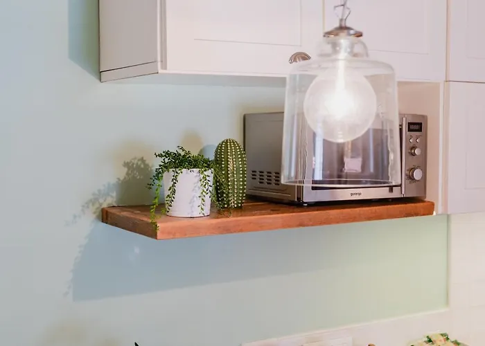 51 * 포르데데이마르미